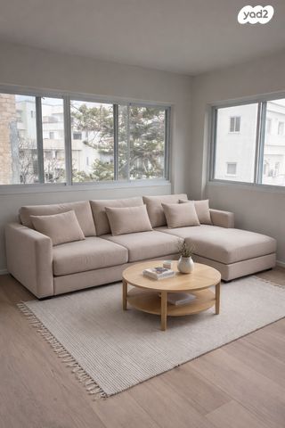 זלמן שניאור 