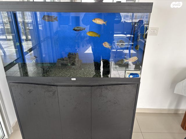 תמונת מודעה - חיות מחמד