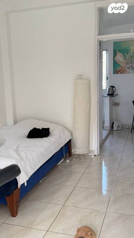 ברל כצנלסון 44