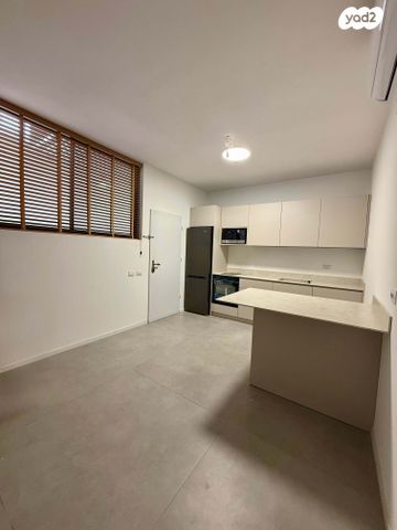 דוד דבורה 19