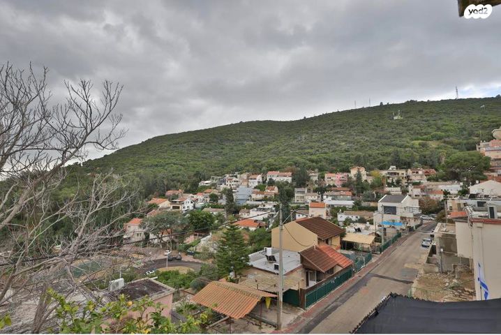 קיבוץ גלויות 