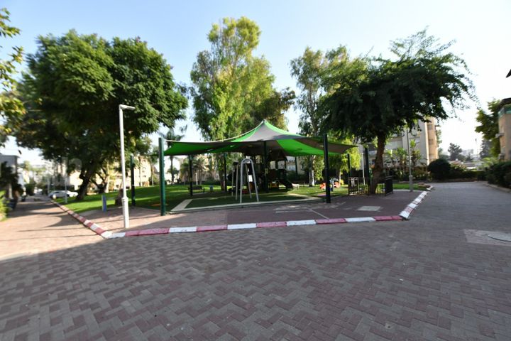 דוד מרכוס 