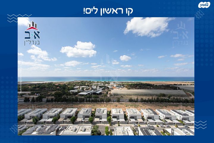 דולפין 