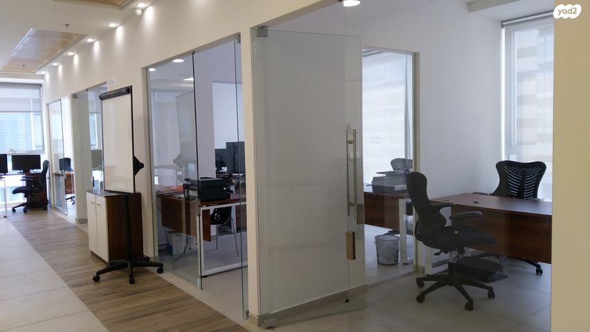 ראול ולנברג