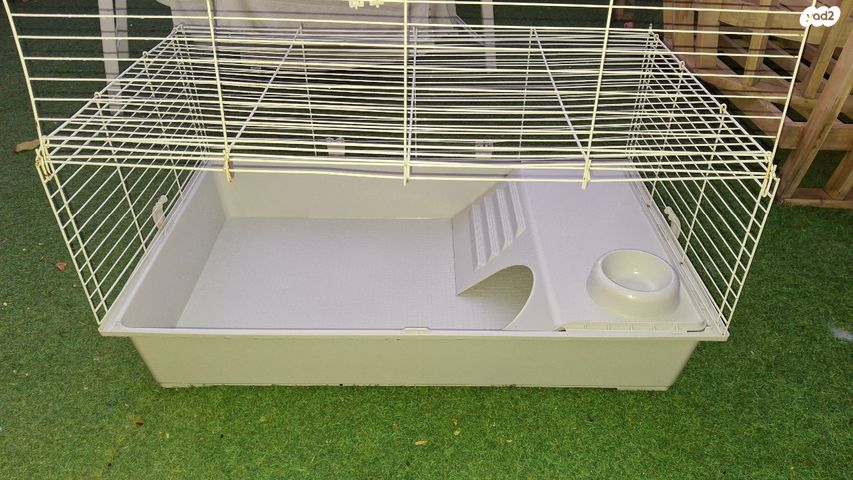 תמונת מודעה - חיות מחמד