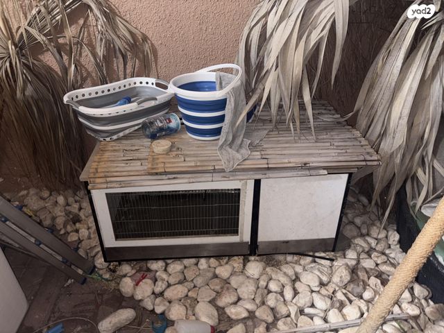 תמונת מודעה - חיות מחמד