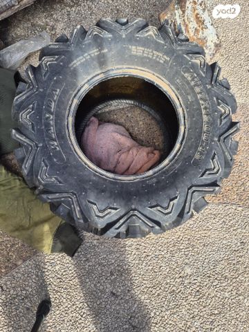 feedItemObj.data.row_1