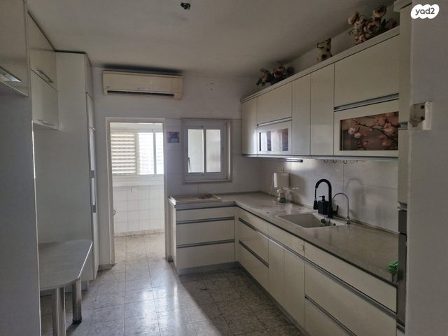 אביגדור המאירי 15