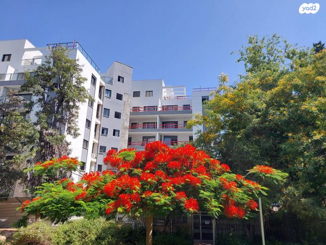 פנחס לבון 14