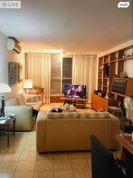 אריה שנקר 34