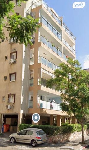 דוד אלעזר 43