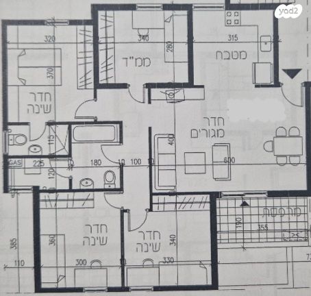 הרב דוד אלטשולר 