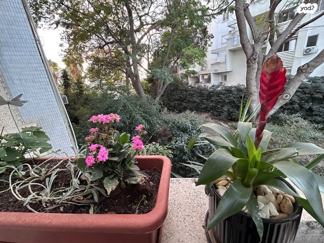 דירה, חצרות הדר, כפר סבא