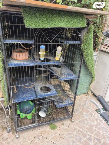 תמונת מודעה - חיות מחמד