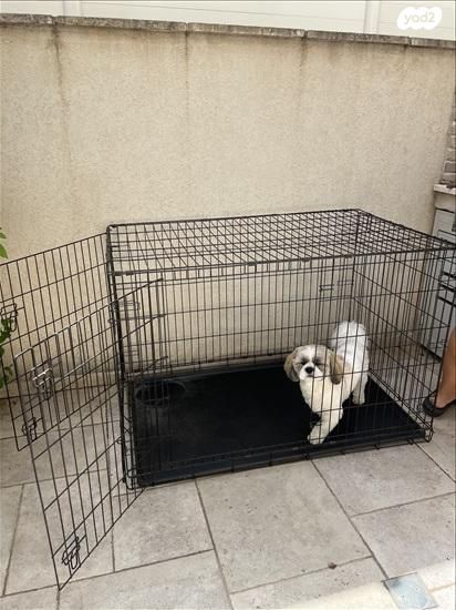 תמונת מודעה - חיות מחמד