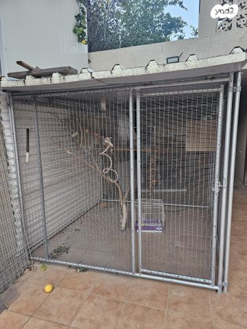 תמונת מודעה - חיות מחמד