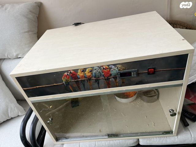 תמונת מודעה - חיות מחמד