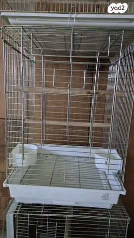 תמונת מודעה - חיות מחמד