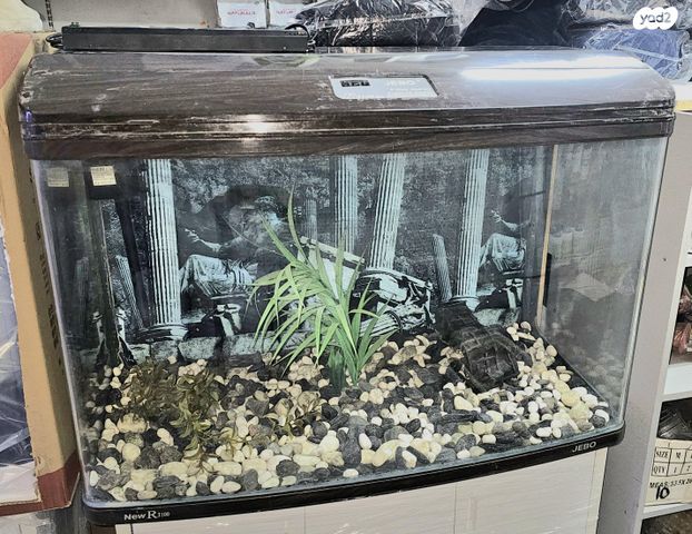 תמונת מודעה - חיות מחמד