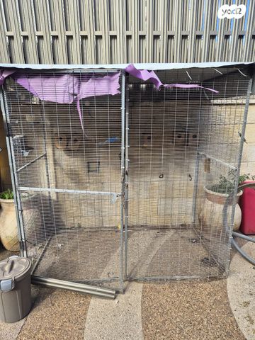 תמונת מודעה - חיות מחמד