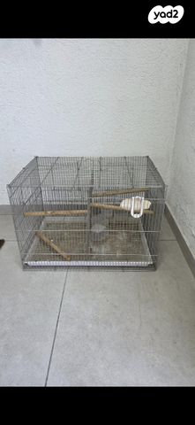 תמונת מודעה - חיות מחמד