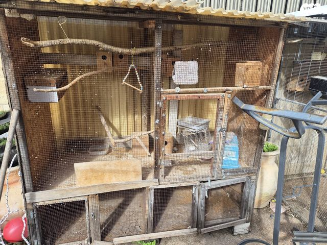 תמונת מודעה - חיות מחמד