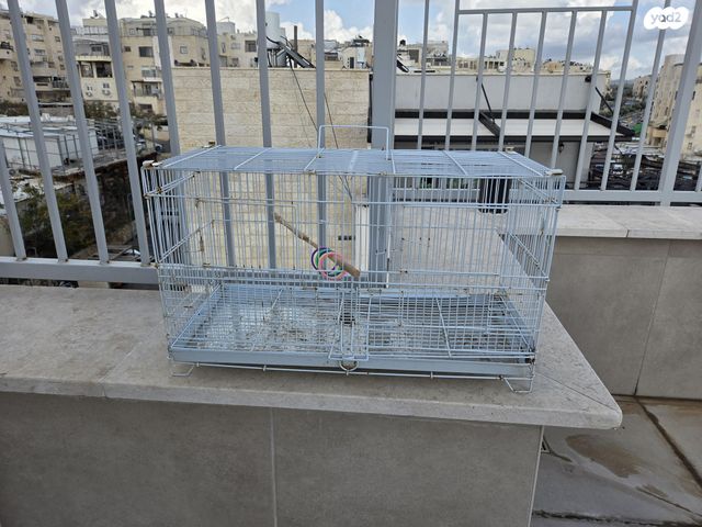 תמונת מודעה - חיות מחמד