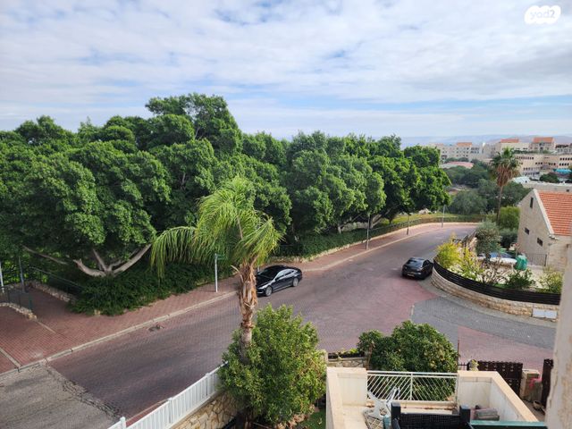 מדליקי משואות 