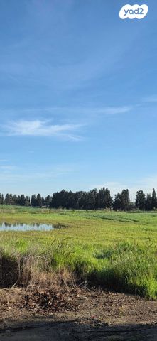 בית פרטי/ קוטג'