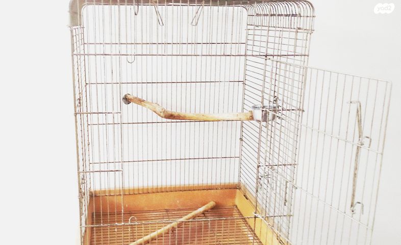 תמונת מודעה - חיות מחמד