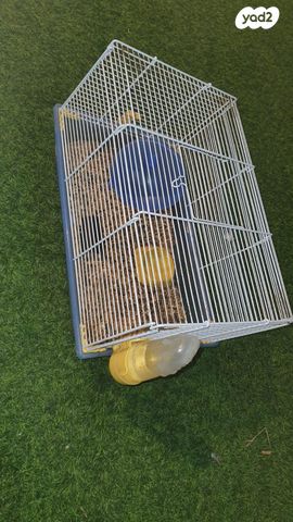 תמונת מודעה - חיות מחמד