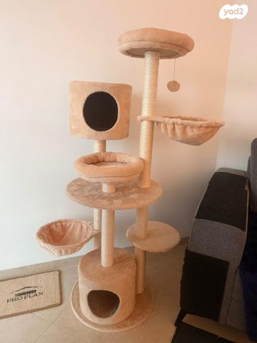 תמונת מודעה - חיות מחמד