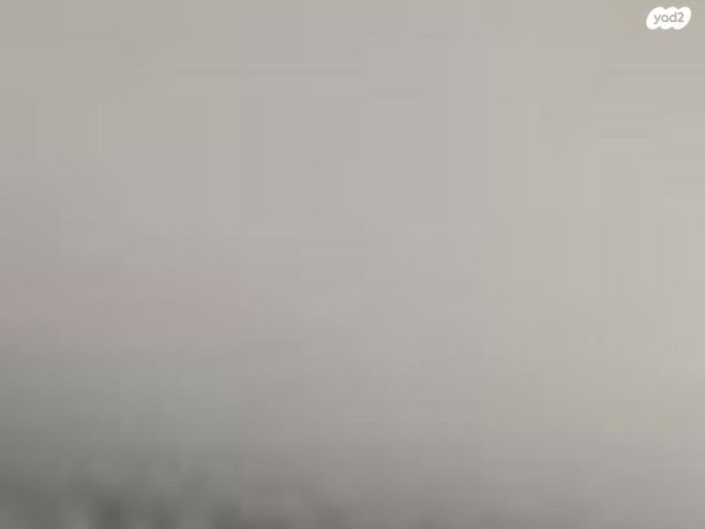 אריאל שרון 1