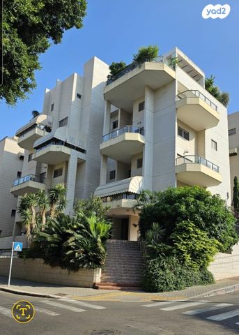 א.ד. גורדון 24