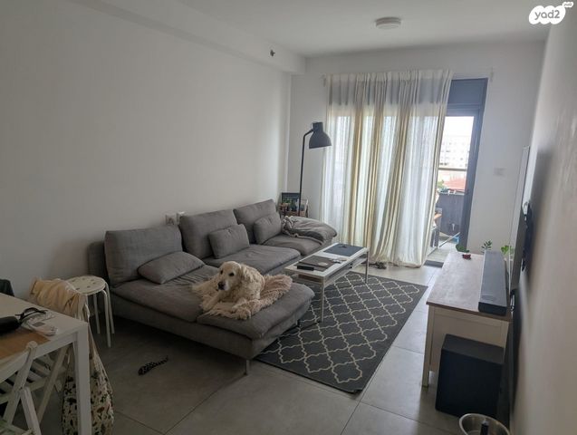 אליהו חכים 6