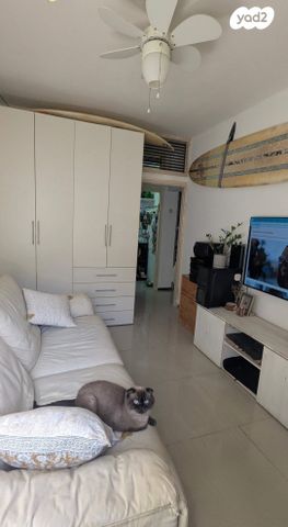 אליהו מפרארה 12