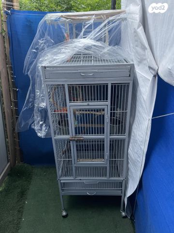 תמונת מודעה - חיות מחמד