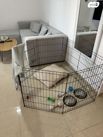 תמונת מודעה - חיות מחמד