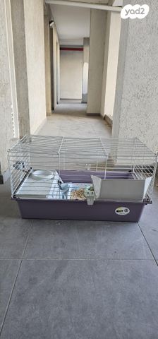 תמונת מודעה - חיות מחמד