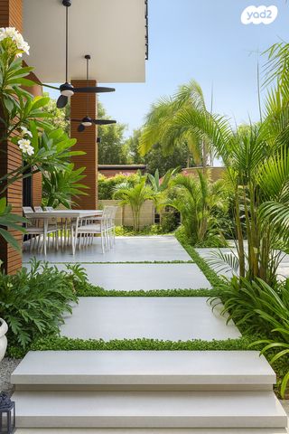 אלכסנדרוני 13