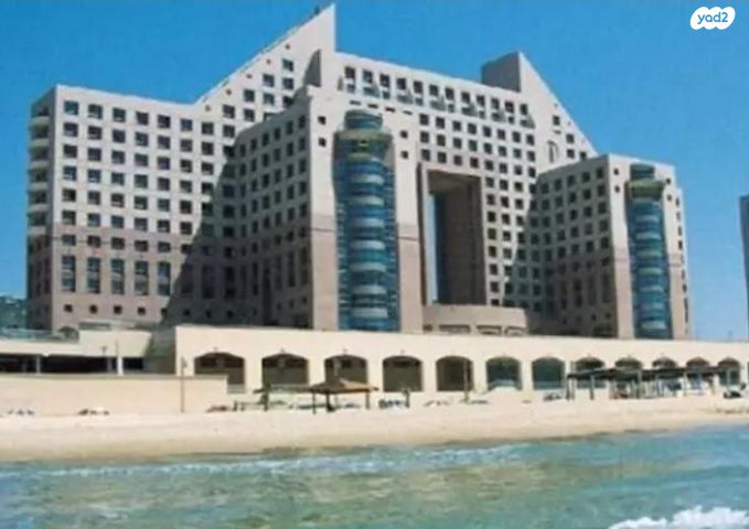 דוד אלעזר 10