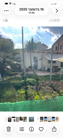 ברל כצנלסון 17