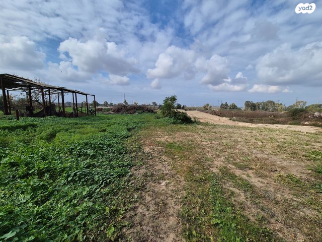 משק חקלאי/ נחלה