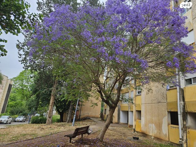משעול הדולב 