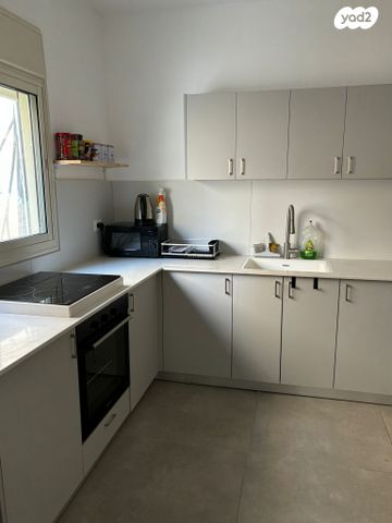 יהושע חנקין