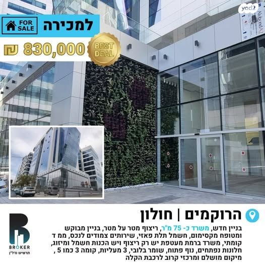הרוקמים 