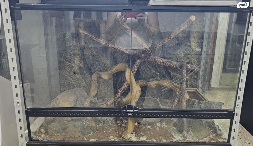 תמונת מודעה - חיות מחמד