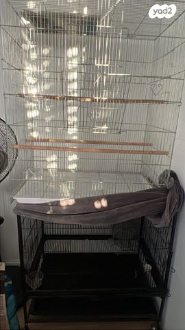 תמונת מודעה - חיות מחמד