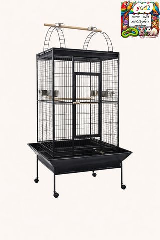 תמונת מודעה - חיות מחמד