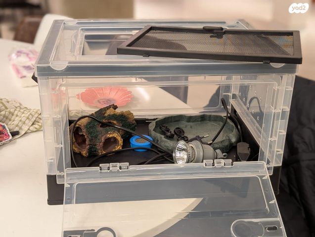 תמונת מודעה - חיות מחמד